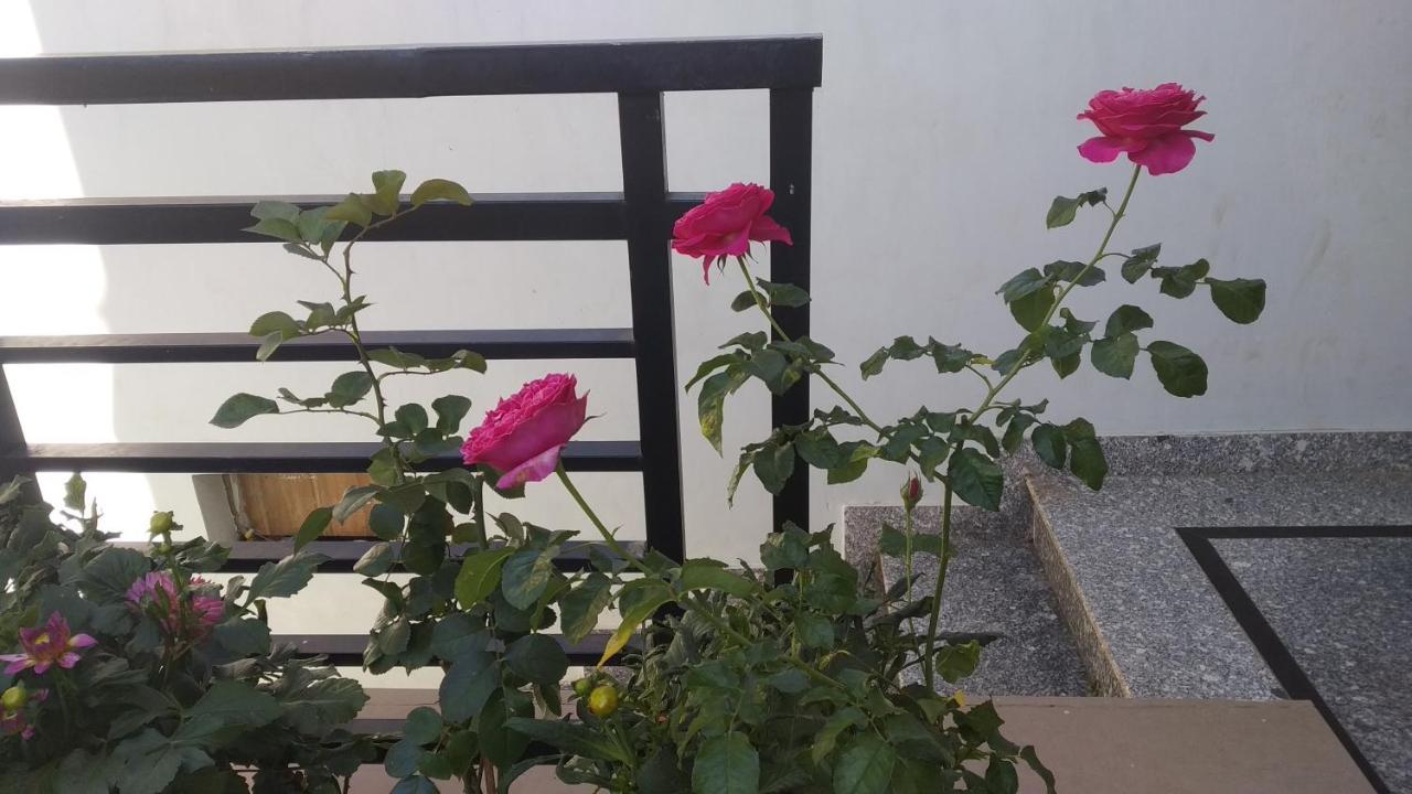 Mai Dalat Homestay Exterior foto